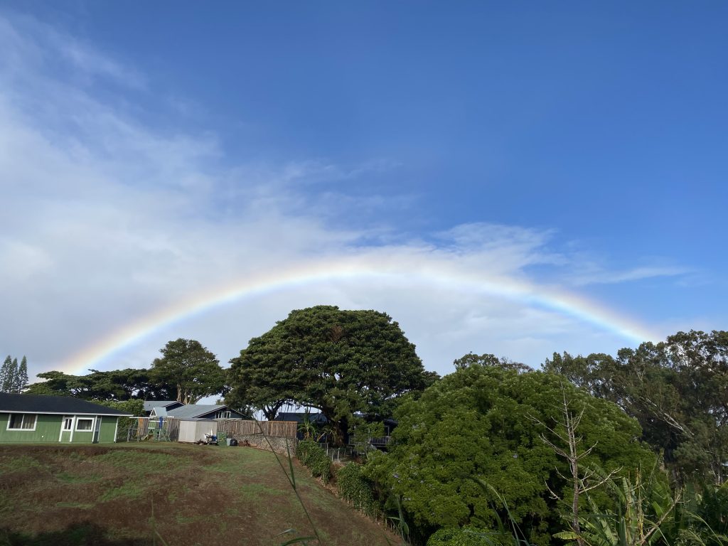 Rainbow in blue sky with light clouds over a landscape with green trees and grass.  Two houses appear on the left side of the picture. 