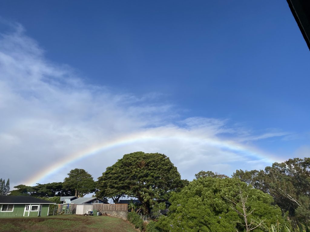 Rainbow over houses and tress with both blue sky and white clouds above