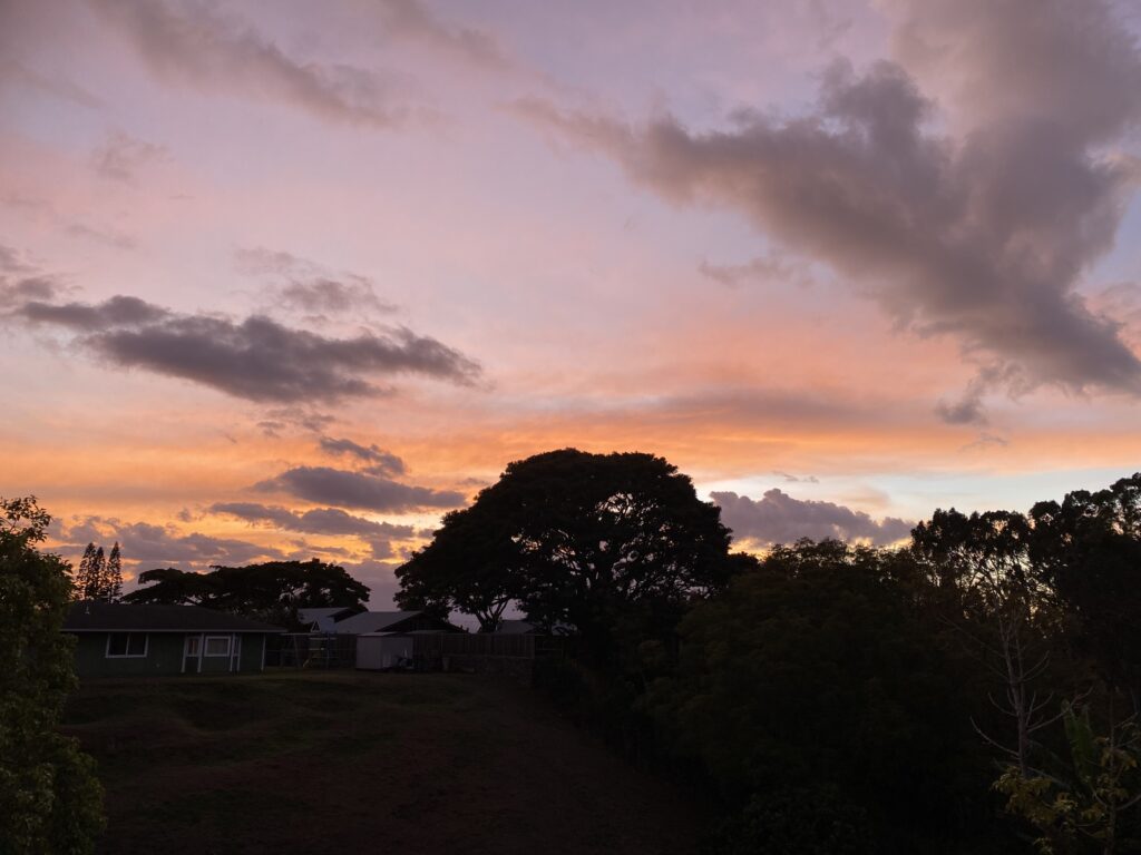 Just above the tree line, the sky appears orange and gray, with a sliver of light blue on the right side just above the horizon. Darker gray clouds are scattered throughout. The overall impression is peaceful, reminding us of our connection to the timelessness of Grace.