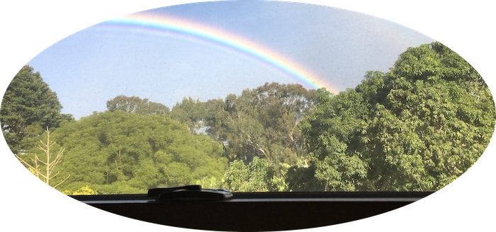 View of a Rainbow through a window, representing hope and comfort.  The storm has passed. I AM healing. I AM healthy. 